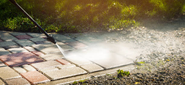 Best Concrete Sealing  in Farmer City, IL