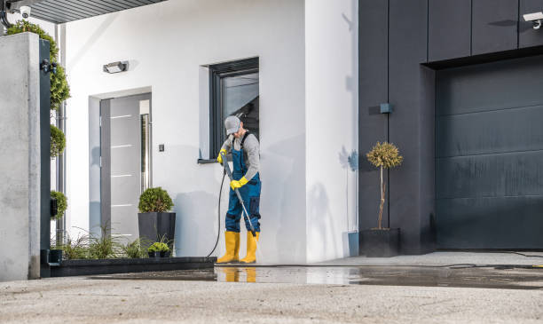 Best Fence Cleaning  in Farmer City, IL